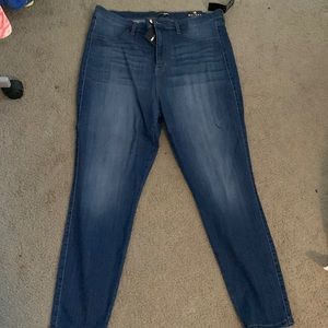 Fashion Nova Plus Size Jeans